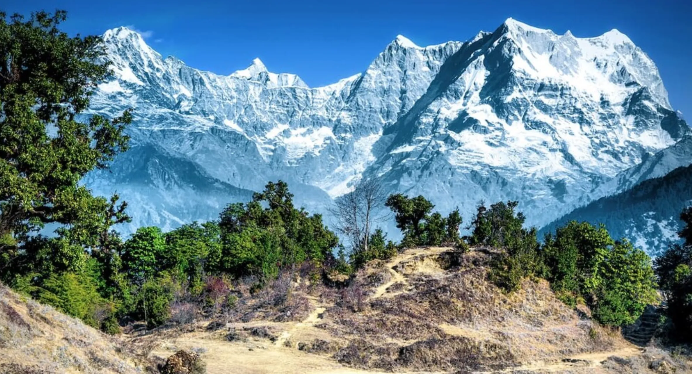 गंगोत्री नेशनल पार्क Gangotri Natioranl Park